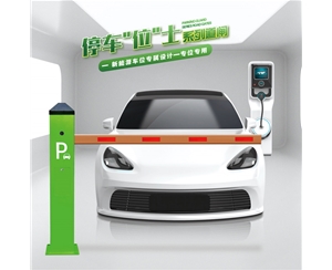 禹城RG-CW系列车位小道闸